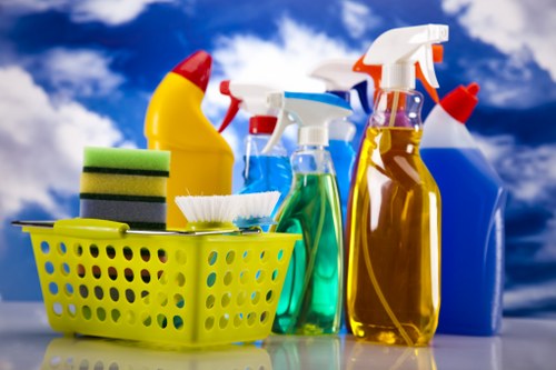 Local waste separation and recycling practices in a London borough