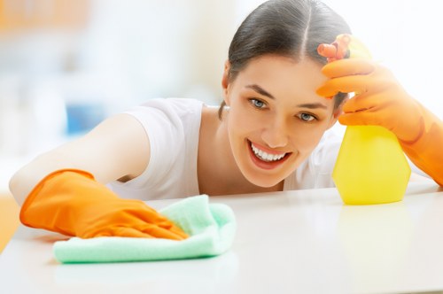 Detailed cleaning of hard-to-reach areas in a London home