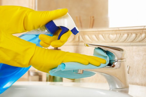 Requesting accessibility help for Cleaning Lady London website
