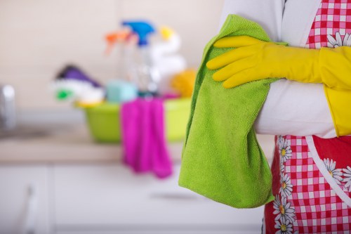 Inclusive Cleaning Lady London website reviewed for accessibility