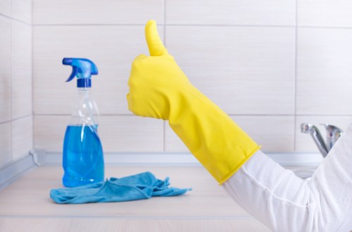 Clean and organised home environment after issue review