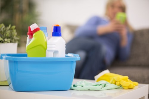 Eco-friendly house cleaning in London for a healthier home