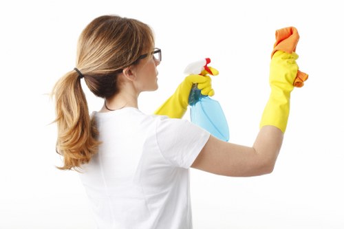 Deep cleaning fabric furniture in a London home