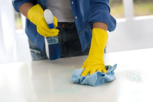 Local London window cleaning equipment and purified water system