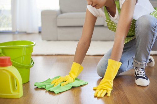 Professional carpet cleaning process in a London home