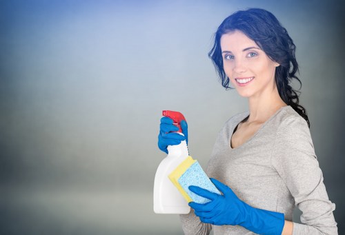 Regular house cleaning in London with attention to detail