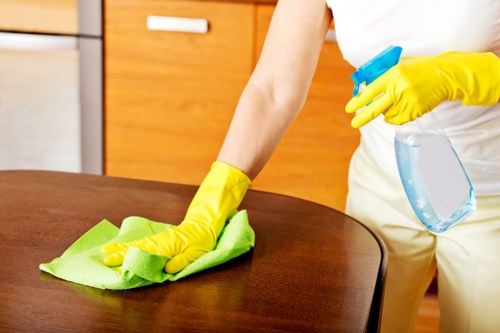 Trusted secure payment options for Cleaning Lady London services