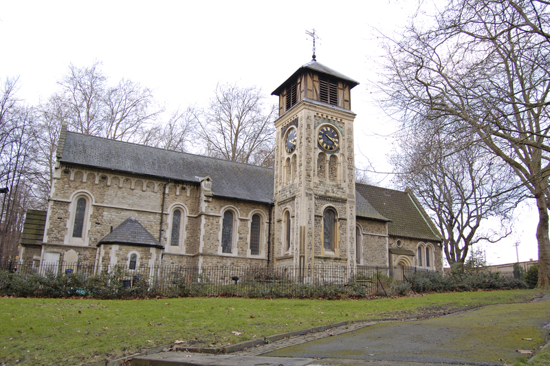 carpet cleaning carpet cleaners