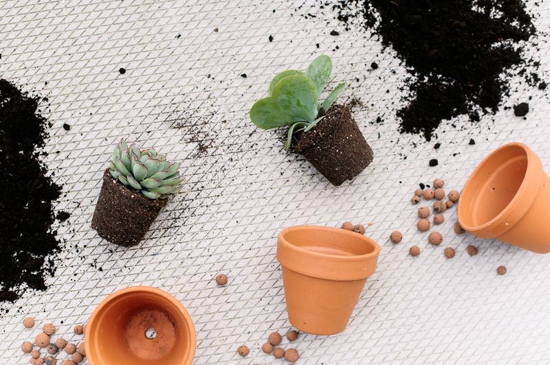 house cleaning tenancy cleaning